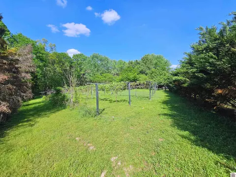 4254 Shoemaker Rd, Hazel, KY 42049 photo 14