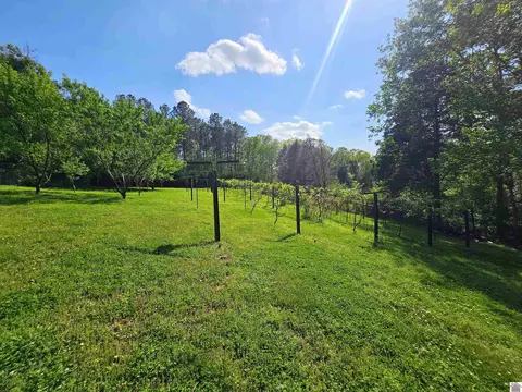 4254 Shoemaker Rd, Hazel, KY 42049 photo 11