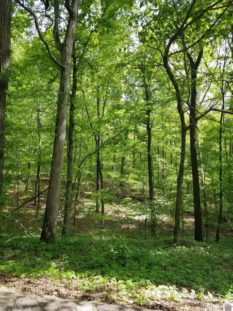 000 Irma White Rd, Marion, KY 42064