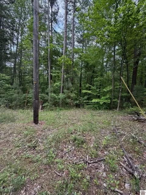 000 Songer Ln, Murray, KY 42071