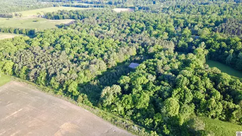 4436 Shoemaker Rd, Hazel, KY 42049 photo 27