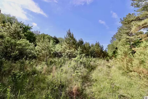 4436 Shoemaker Rd, Hazel, KY 42049 photo 13