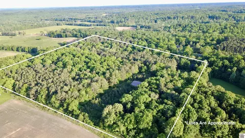 4436 Shoemaker Rd, Hazel, KY 42049 photo 22