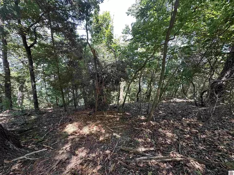 669 Cedar Point Ln, Benton, KY 42025 photo 3