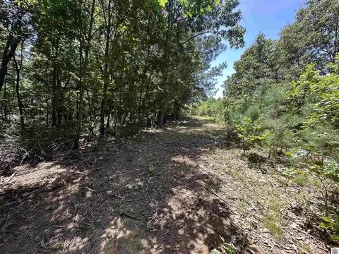 669 Cedar Point Ln, Benton, KY 42025 photo 2