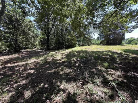 669 Cedar Point Ln, Benton, KY 42025 photo 4