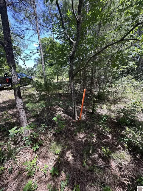 669 Cedar Point Ln, Benton, KY 42025 photo 8