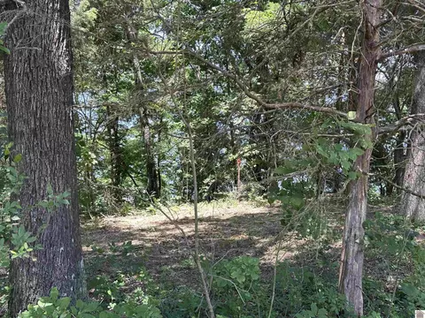 669 Cedar Point Ln, Benton, KY 42025 photo 7