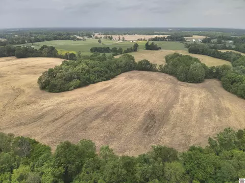 00 Albert Hook Rd, La Center, KY 42056