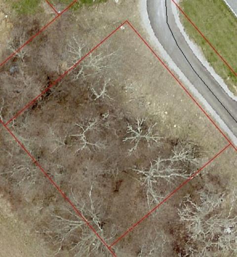 525 Cedar Rd, Covington, KY 41015 photo 1