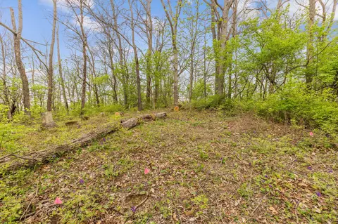 4231 River Rd #PARCEL-B, Hebron, KY 41048 photo 5