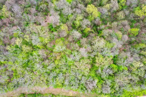 4231 River Rd #PARCEL-A-B-C, Hebron, KY 41048 photo 9