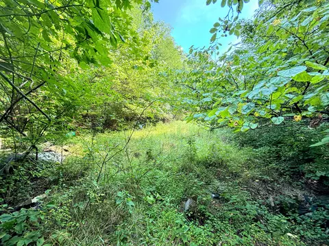 4758 Fowler Creek Rd, Covington, KY 41017