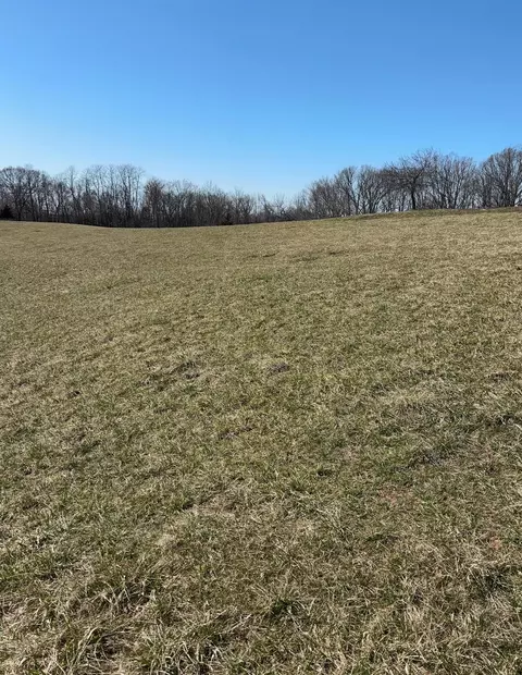433 Chapel Rd, Mount Olivet, KY 41064 photo 1
