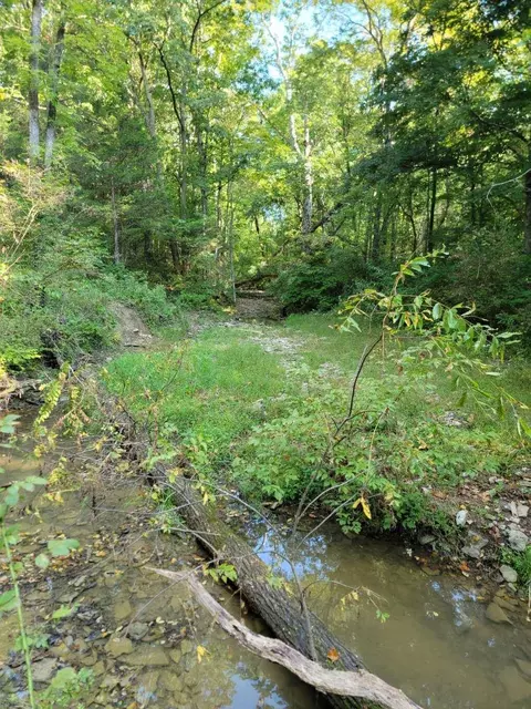 15711 Pfanstiehl Rd, Demossville, KY 41033