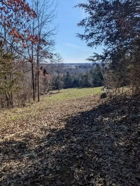 0 Fishing Creek Rd, Falmouth, KY 41040