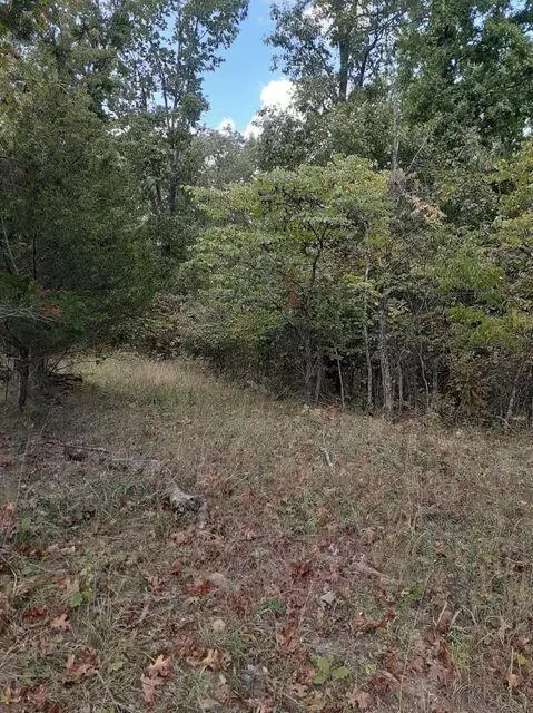 lot15 Apple Ln, Cynthiana, KY 41031