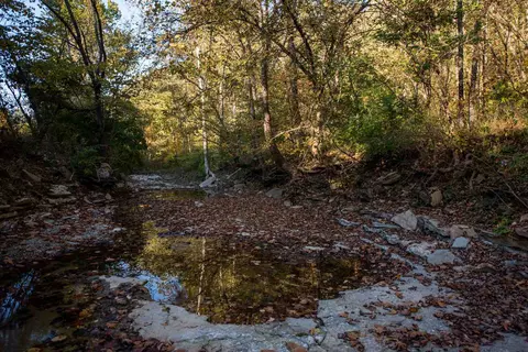 0 Bradford-tracts Ab Rd, Foster, KY 41043 photo 6