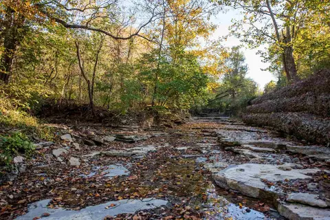 0 Bradford-tracts Ab Rd, Foster, KY 41043 photo 7