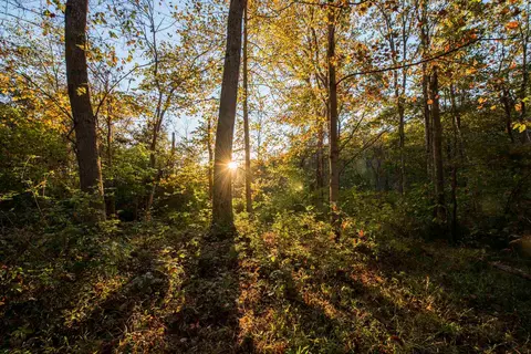 0 Bradford-tracts Ab Rd, Foster, KY 41043 photo 8