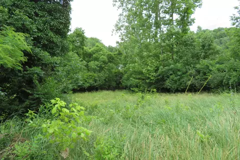 1175 Waterworks Rd, Newport, KY 41071
