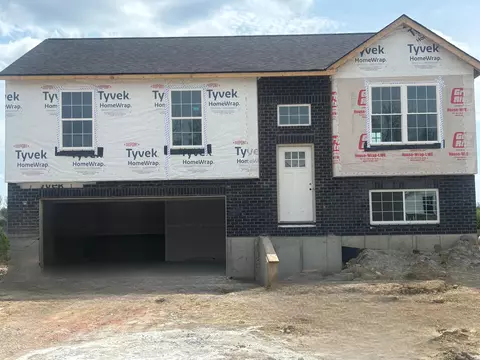 120 Belmont Ct, Williamstown, KY 41097
