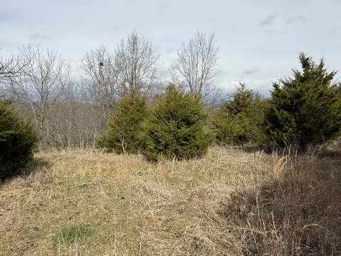 0 Mattox Rd, Falmouth, KY 41040