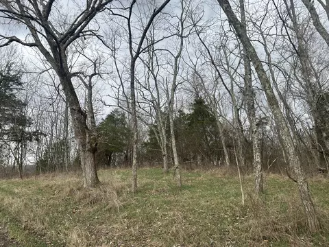 6 Lot New Zion Rd, Falmouth, KY 41040