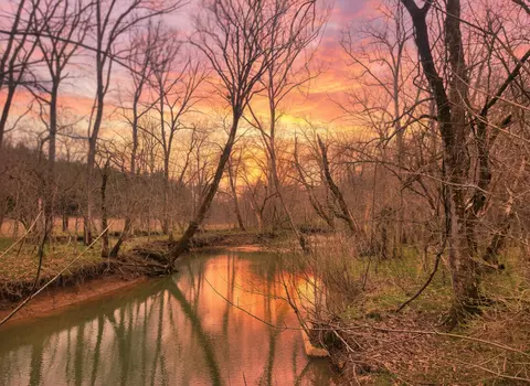 1205 Turner Rd, Williamstown, KY 41097