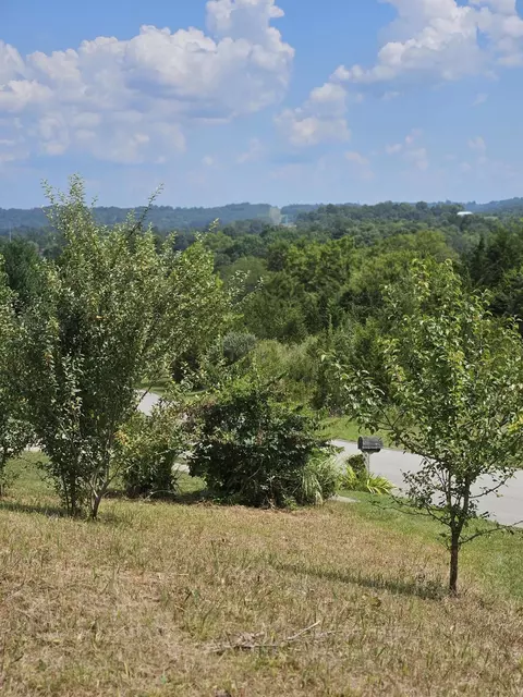 6 Links View Dr, Butler, KY 41006