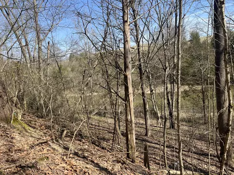 3105 Gratz Road 59 60, Owenton, KY 40359