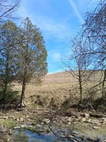 105 Scaffold Lick Creek Rd, Berry, KY 41003