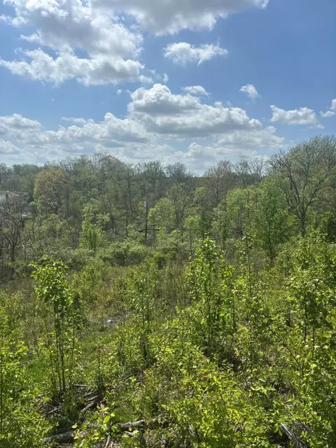 85 Kentucky Dr, Newport, KY 41071