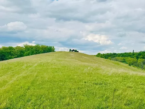 43 Acres Chipman Ridge Road Apt 43 Acres Rd #43 ACRES, +/-, Williamstown, KY 41097
