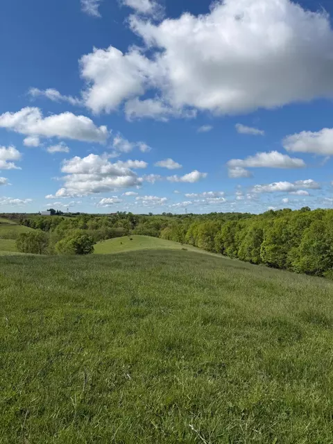 14 17 Ac Chipman Ridge Rd, Williamstown, KY 41097