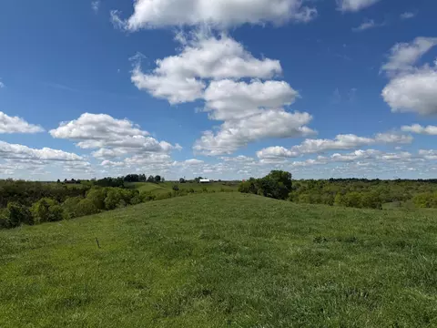 24 81 Ac Chipman Ridge Rd, Williamstown, KY 41097