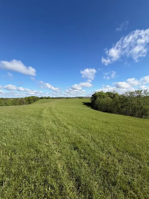 32 28 Ac Chipman Ridge Rd, Williamstown, KY 41097