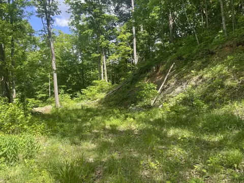 0 Birch Hollow Rd #LOT 12, Stanton, KY 40380