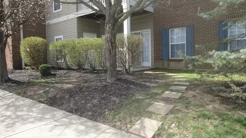 955 Mistflower Ln, Florence, KY 41042