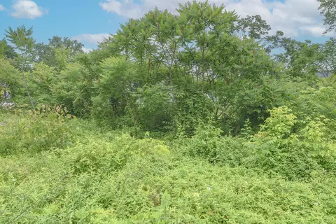 4768 River Rd, Hebron, KY 41048 photo 6
