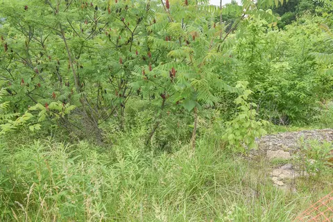 4768 River Rd, Hebron, KY 41048 photo 11