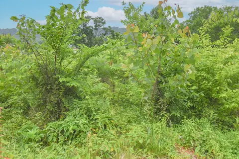 4768 River Rd, Hebron, KY 41048 photo 8