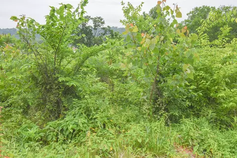 4768 River Rd, Hebron, KY 41048 photo 9