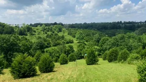 8530 Hwy 22 E, Owenton, KY 40359
