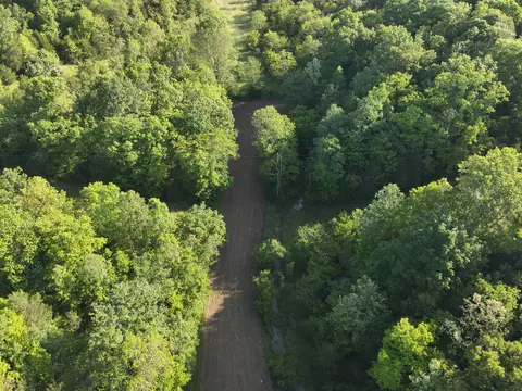 0 Mann Rd, Mount Olivet, KY 41064 photo 18
