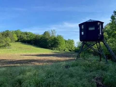 0 Mann Rd, Mount Olivet, KY 41064 photo 3