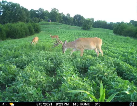 0 Mann Rd, Mount Olivet, KY 41064