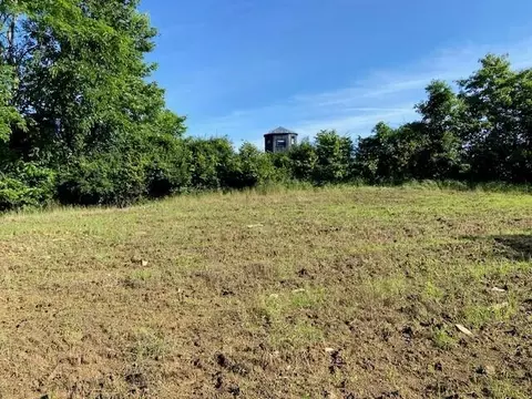 0 Mann Rd, Mount Olivet, KY 41064 photo 22