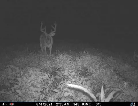 0 Mann Rd, Mount Olivet, KY 41064 photo 34