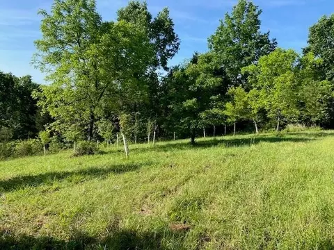 0 Mann Rd, Mount Olivet, KY 41064 photo 21